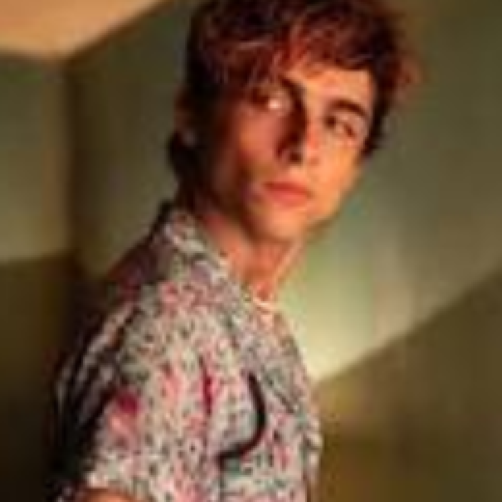 Timothée Chalamet Timothée Chalamet