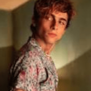 Timothée Chalamet Timothée Chalamet
